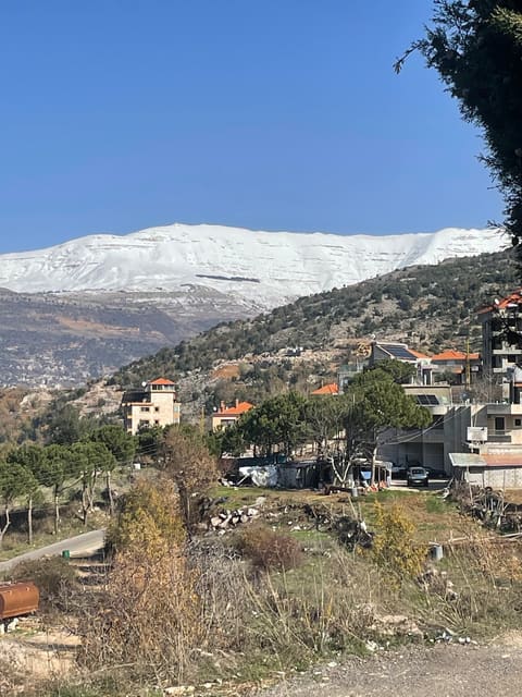 Jihad Bou Ghosn Hotel — photograph 3