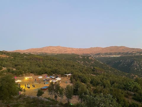 Tribes Camping & BBQ — photograph 2