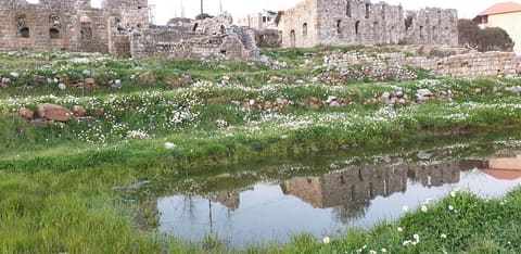 Roman Silk Factory — photograph 4