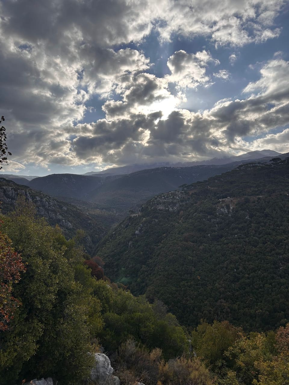 Mtein natural reserve