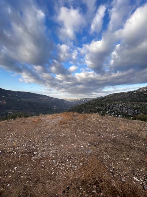 Mtein natural reserve — photograph 2