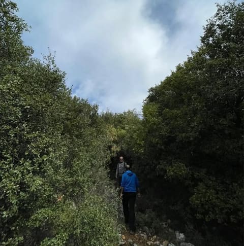 Mtein natural reserve — photograph 5