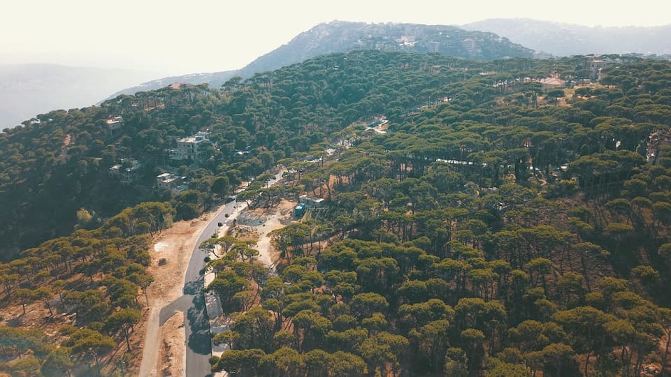 Bolonia and Wata el Mrouj Municipality