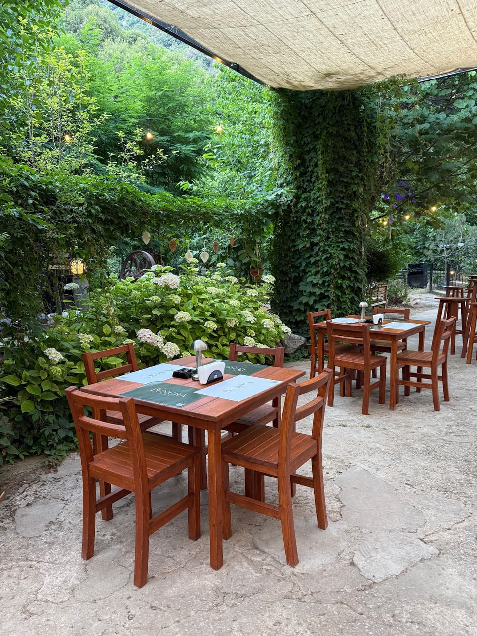 Lunera Resto Bar