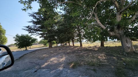 Bekish — photograph 3