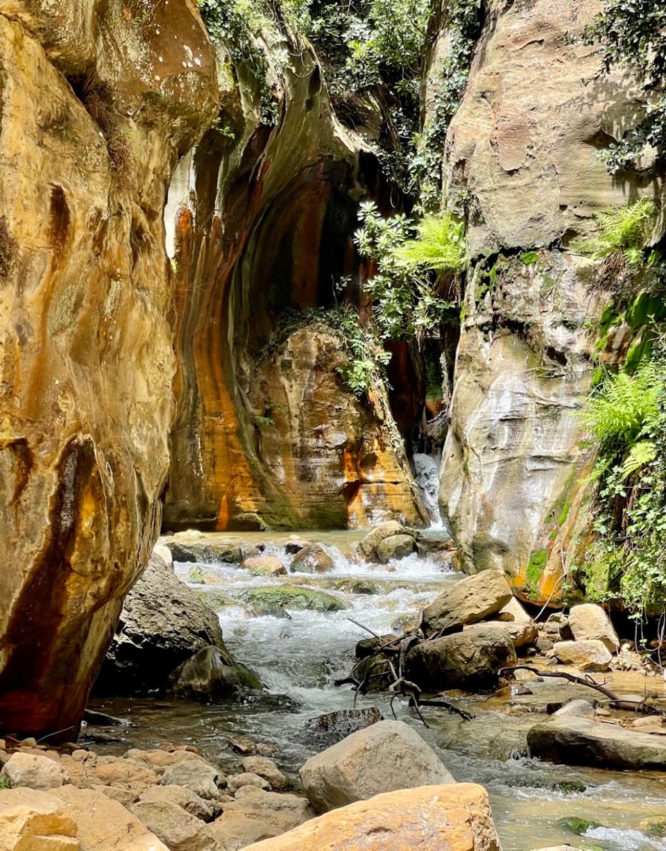 Assi river trail