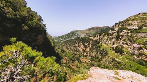 Assi river trail — photograph 2