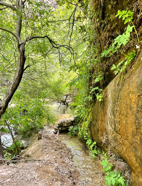 Assi river trail — photograph 4