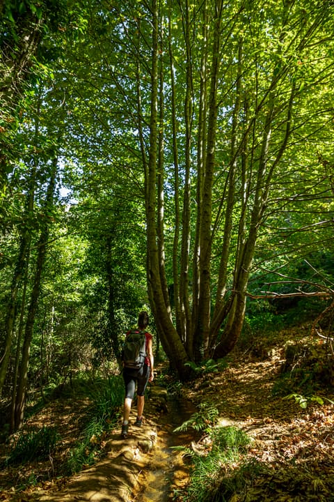 Assi river trail — photograph 5