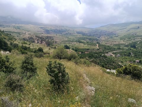 Baskinta camping site — photograph 2