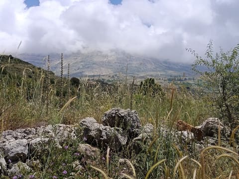 Baskinta camping site — photograph 3