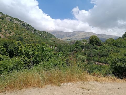 Baskinta camping site — photograph 4