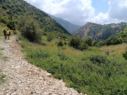 Baskinta camping site — photograph 5