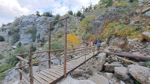 Chouar ez zaarour — photograph 5