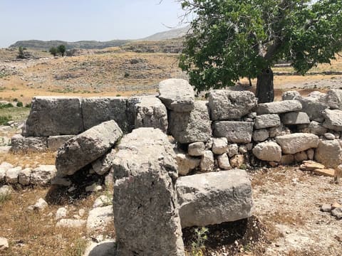 Roman Nuts Ruins — photograph 2