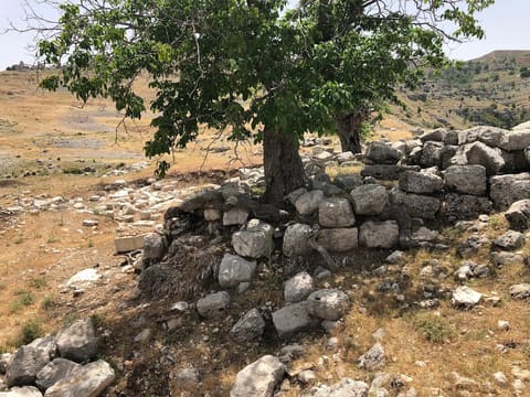 Roman Nuts Ruins — photograph 3