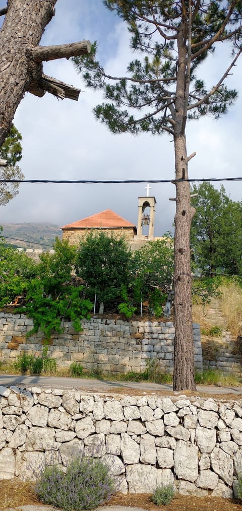Kanise Mar Boutros Marj - Baskinta — photograph 6