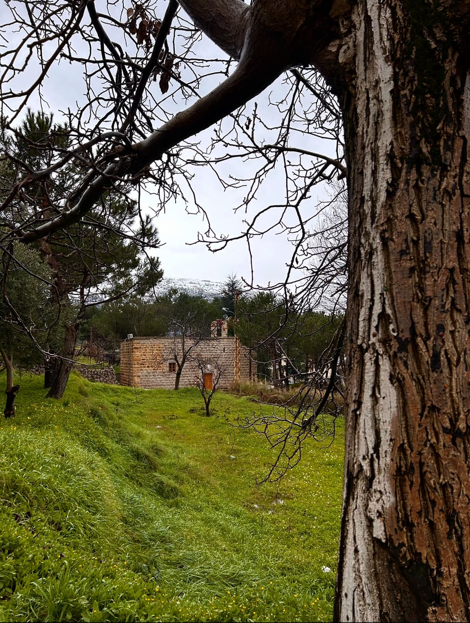 St. Elias Church