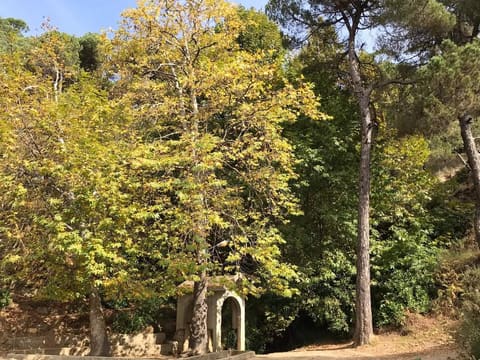 Ain El Khoury — photograph 2