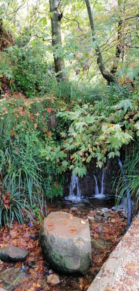 Ain El Khoury — photograph 3
