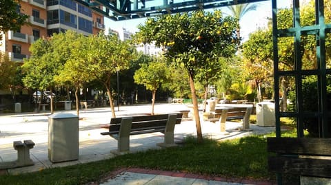 FitStation — photograph 2