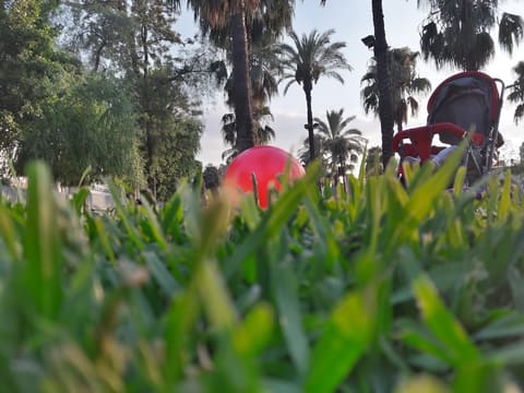 St. Antonios Park Jdeideh — photograph 4