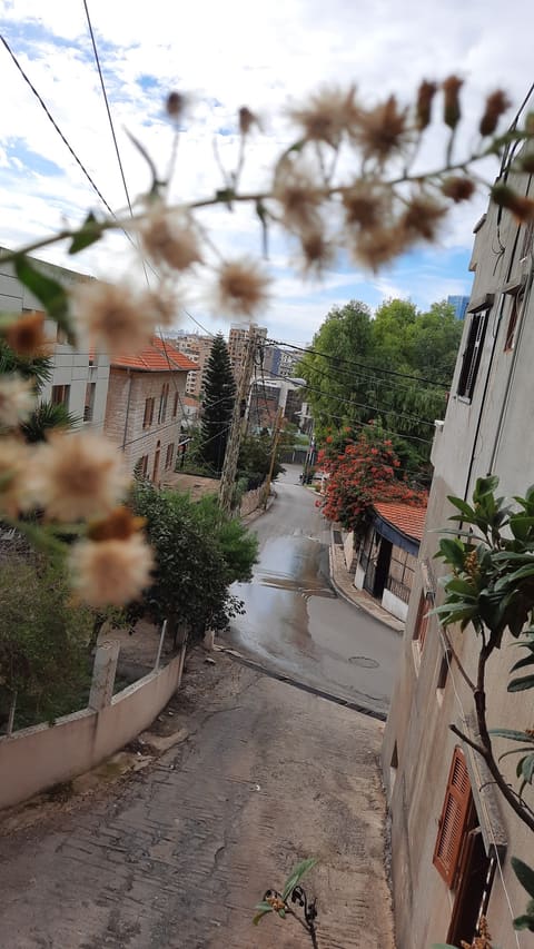 Antelias Mazhar Mashrouh El Marouni — photograph 4