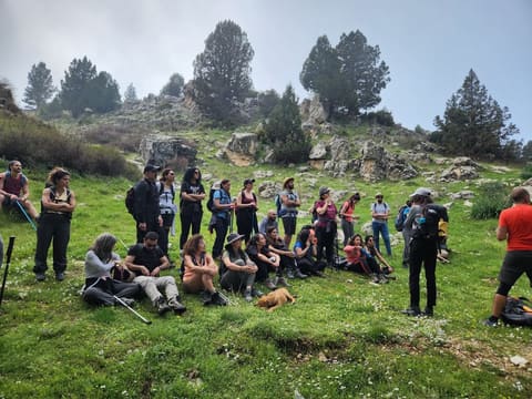 Yolo lb — photograph 2