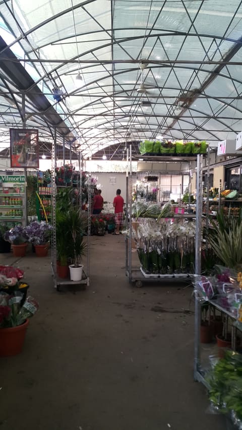 Raidan: Flowers & Plants Wholesaler — photograph 3
