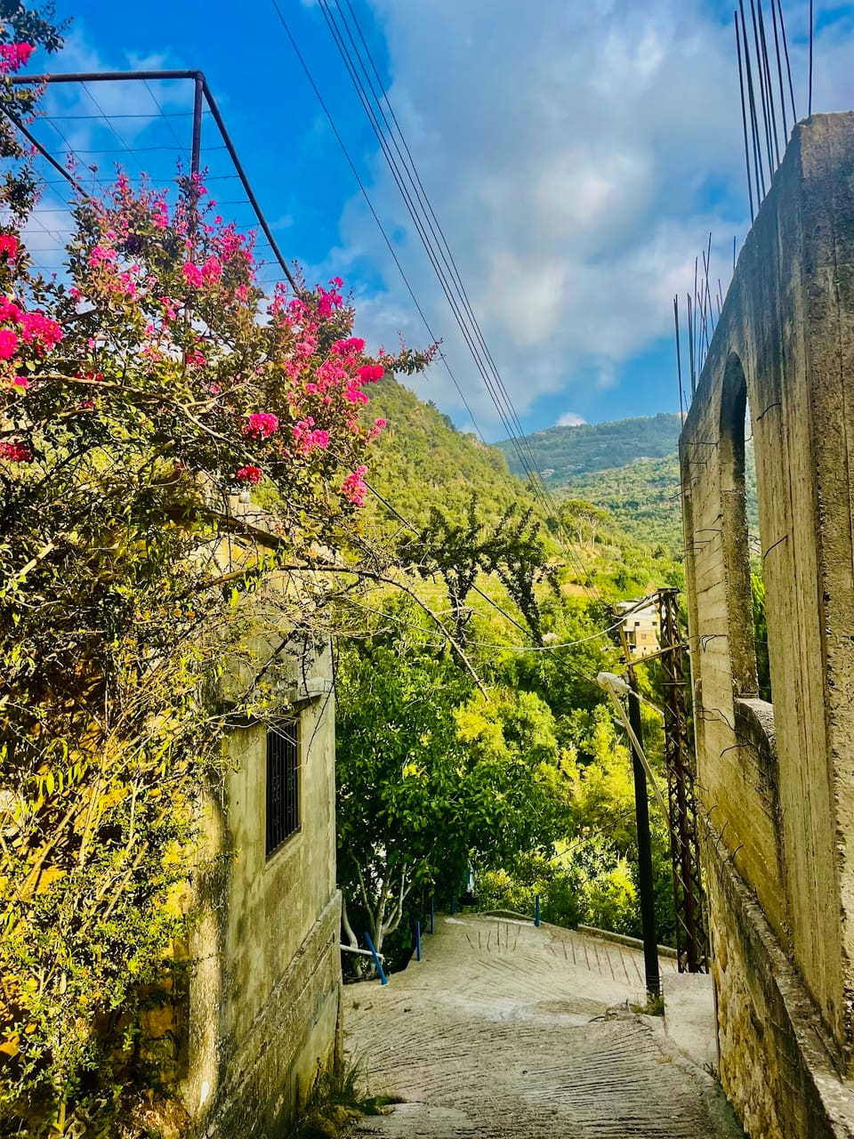 Chouf