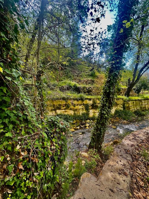 Chouf — photograph 2