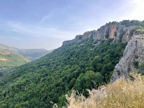 Chouf — photograph 3