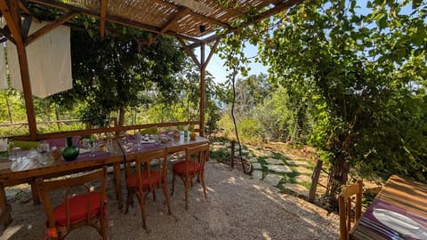 Coara Restaurant — photograph 3