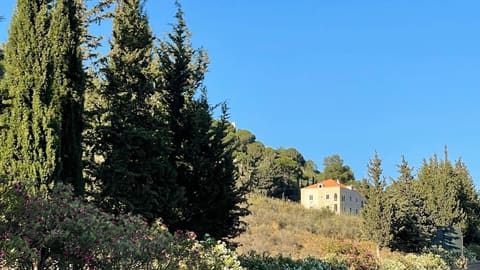 Diyar El Qamar GuestHouse — photograph 2