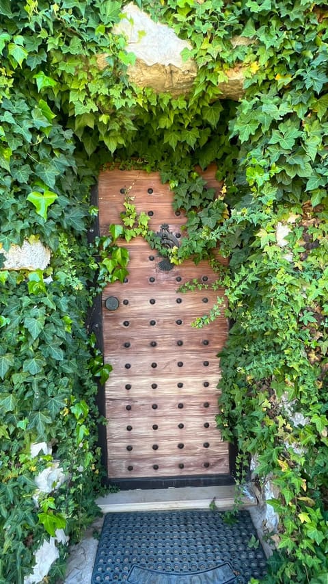 Cherry Guest House — photograph 6