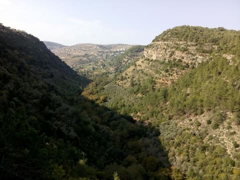 Hiking Local Guide *Douree* (Shouf district) — photograph 2