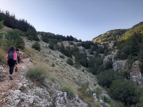 Hiking Local Guide *Douree* (Shouf district) — photograph 5
