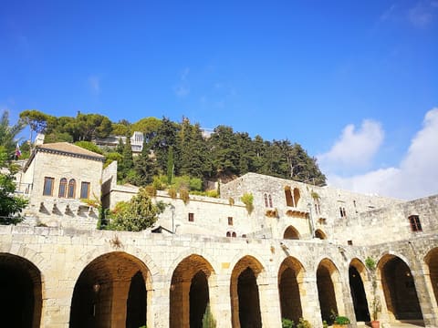 Fakher El Dine Ii Le Grand Castle — photograph 3