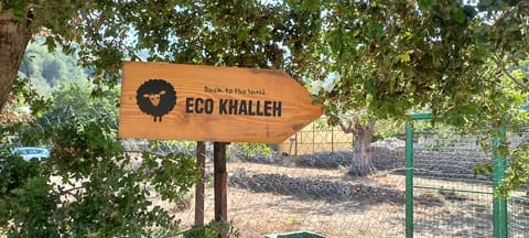 EcoKhalleh — photograph 2