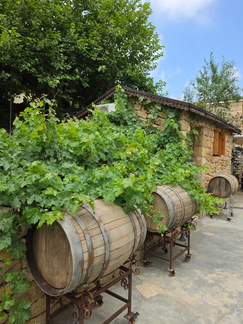Domaine d'Arteme — photograph 2
