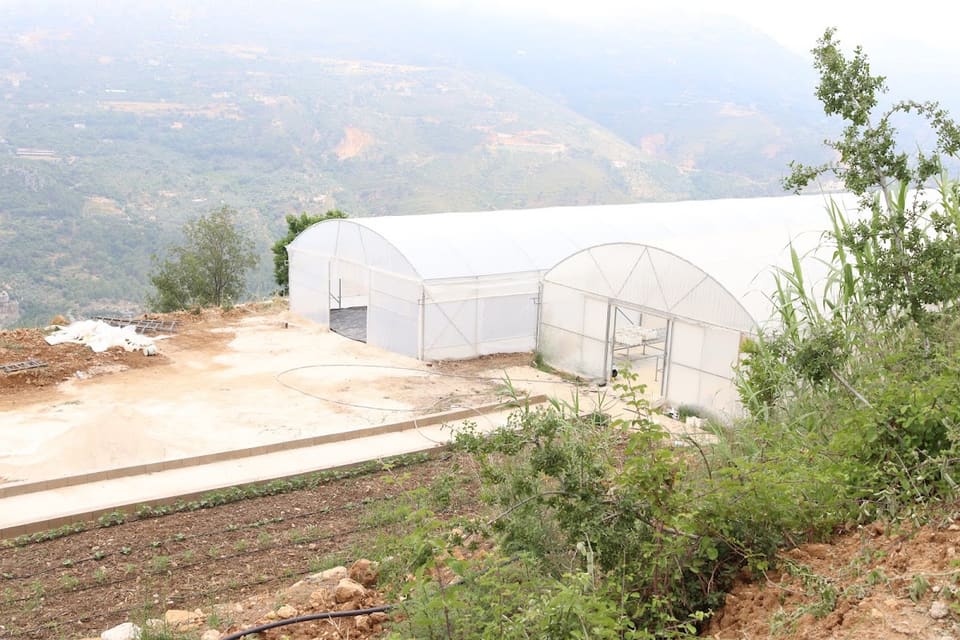 Bustan Al Farah Packaging Center
