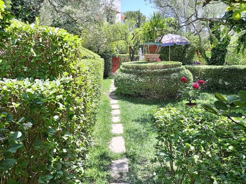 Lolly garden — photograph 3