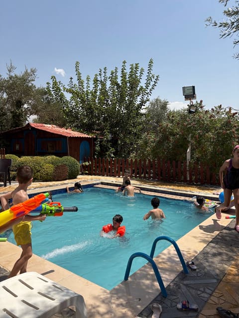 Lolly garden — photograph 4