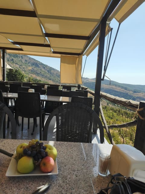 Tourist restaurant — photograph 6