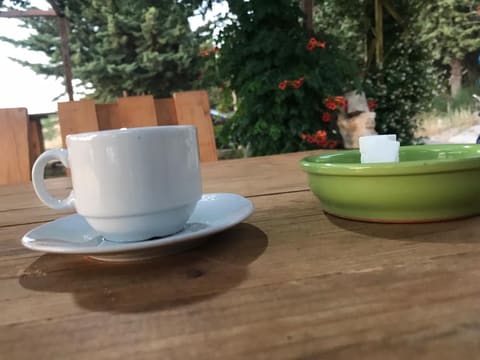 ABO MAJD CAFÉ — photograph 6