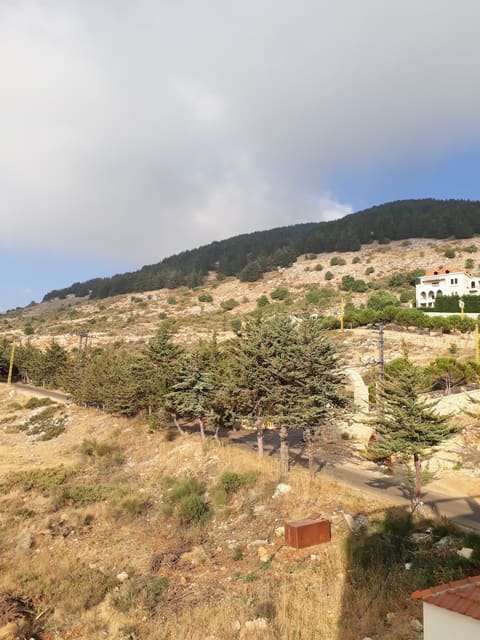 Calmera Hotel — photograph 4