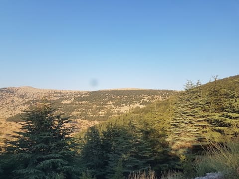 Mahmiat Arz Al Shouf Ghabet Arz Al Barouk — photograph 2
