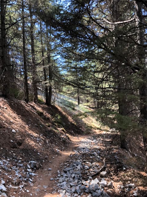 Mahmiat Arz Al Shouf Ghabet Arz Al Barouk — photograph 3
