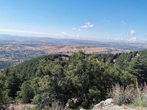 Mahmiat Arz Al Shouf Ghabet Arz Al Barouk — photograph 4