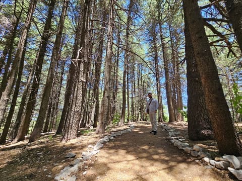 Mahmiat Arz Al Shouf Ghabet Arz Al Barouk — photograph 6
